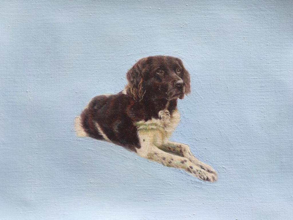 Tierportrait Hund Ölmalerei